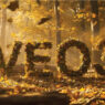 Autumn Wind Whirl AI Prompt Veo 3