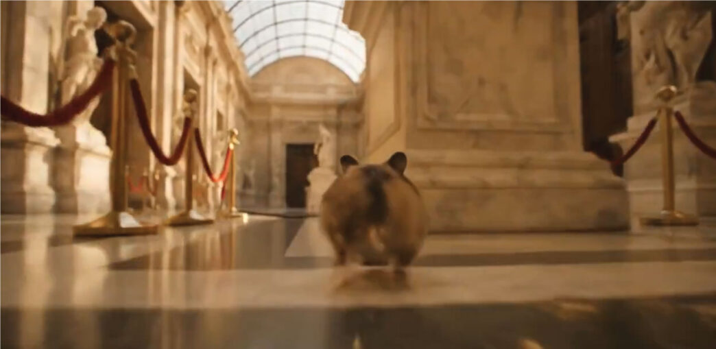 Hamster running Prompt Veo 3
