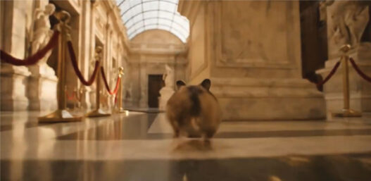 Hamster running Prompt Veo 3