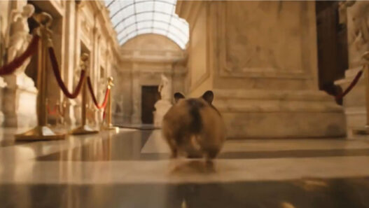 Hamster running Prompt Veo 3