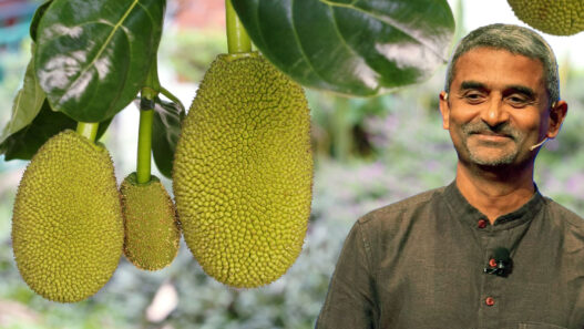 James Jospeh, Founder of Jackfruit 365