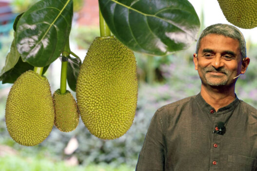 James Jospeh, Founder of Jackfruit 365