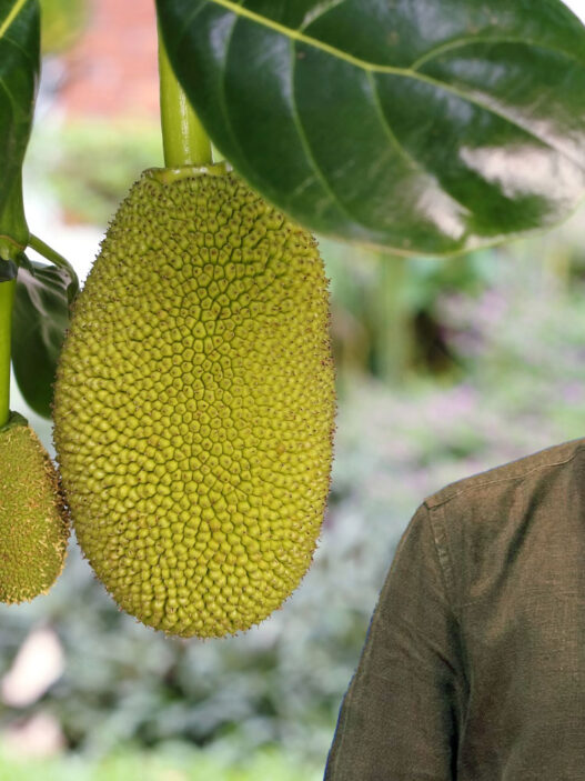 James Jospeh, Founder of Jackfruit 365