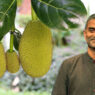 James Jospeh, Founder of Jackfruit 365
