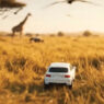 Tiny Car in a Safari
